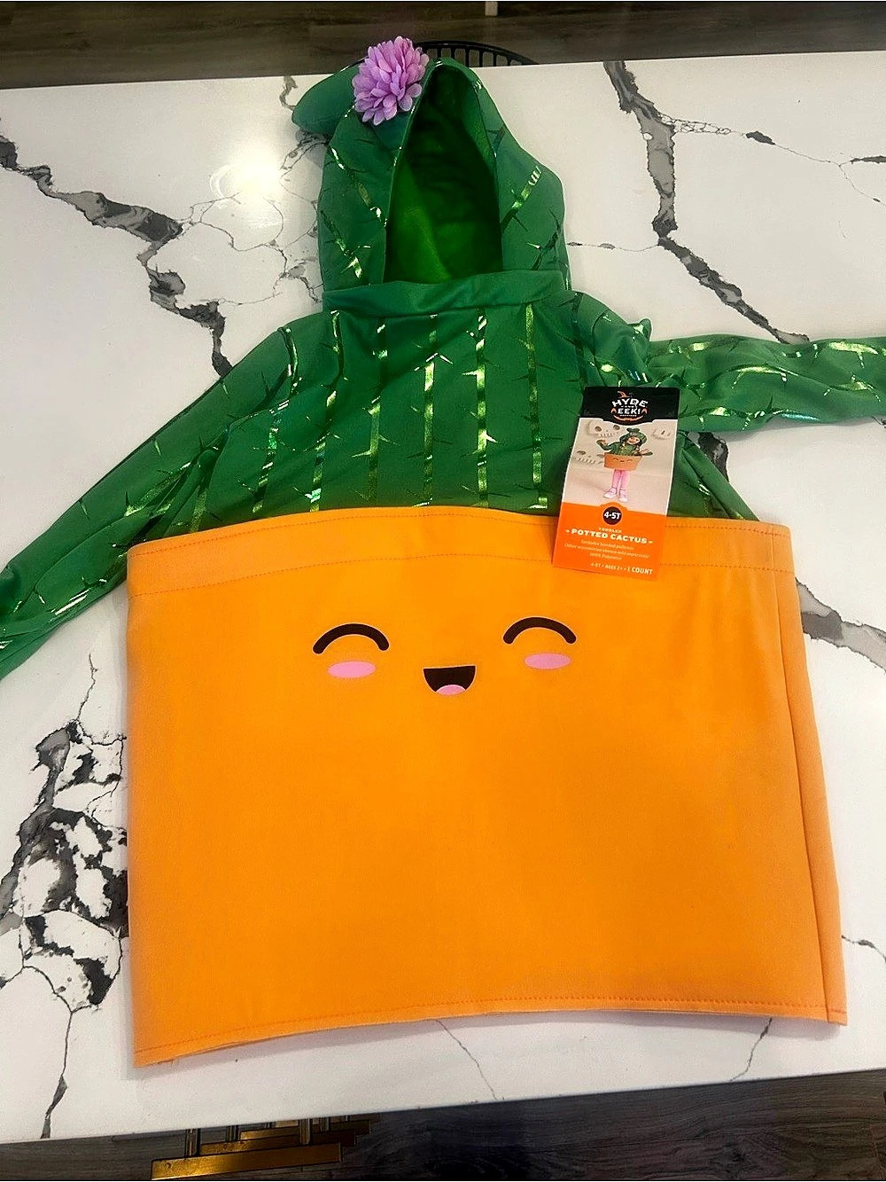 Hyde & EEK! Boutique Toddler Potted Cactus Costume Girls 4-5T